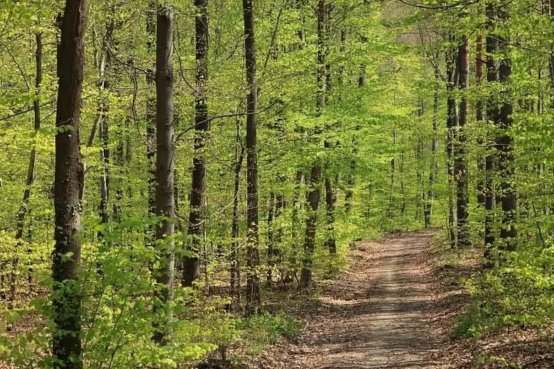 Entreprises 1 image DIE INSEL - TRAINING