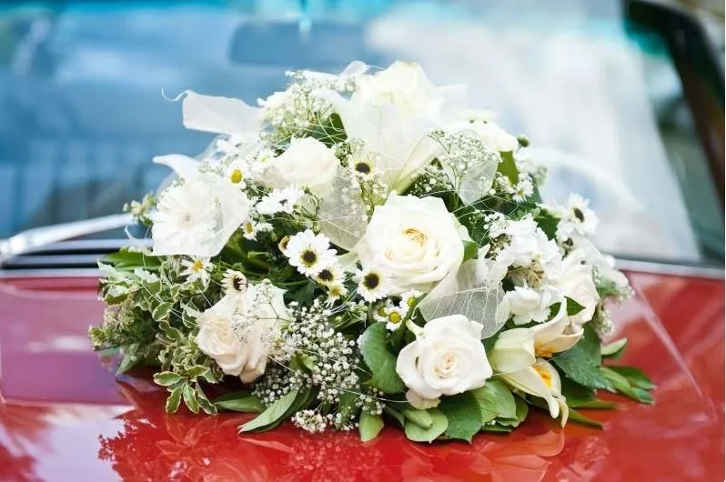 Unternehmen 11 Bild BLUMEN PFISTER