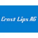 LIPS ERNST AG Zimmerarbeiten, Holzbauarbeiten in Zurich ZH