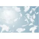 WOLFGANG SINGER Möbel/Innenausstattung am Zürich ZH