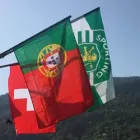 MCJP SÀRL