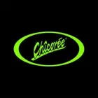 CHICORÉE